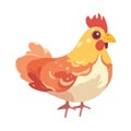 Cute cartoon rooster animal