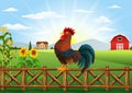 Cute cartoon rooster crowing in the farm fence