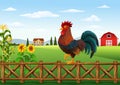 Cute cartoon rooster standing in the farm fence