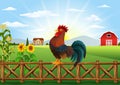 Cute cartoon rooster standing in the farm fence