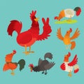 Cute cartoon rooster vector illustration chicken farm animal agriculture domestic bird character.