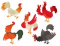 Cute cartoon rooster vector illustration chicken farm animal agriculture domestic bird rooster farm character.