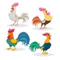 Cute cartoon roosters different breeds set. Comic style cocks with shadows. Farm animals in flat with simple gradients. Royalty Free Stock Photo