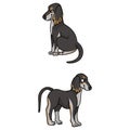 Cute cartoon Saluki puppy vector clipart. Pedigree borzoi dog for kennel club. Purebred domestic sighthound dog training