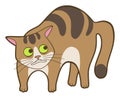 Cute cartoon scared cat Royalty Free Stock Photo