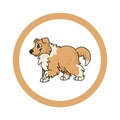 Cute cartoon Scootish Collie in dotty circle puppy vector clipart. Pedigree kennel doggie breed for kennel club