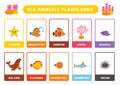 Cute cartoon sea animals with names. Flashcards for learning English Royalty Free Stock Photo