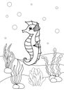 Cute cartoon seahorse. Coloring book or page for kids. Sea life
