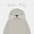 Cute cartoon seal portrait, quote Winter baby Royalty Free Stock Photo