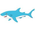 Cute cartoon shark Royalty Free Stock Photo