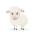 Cute cartoon sheep mascot character. Vector Isolated illustration of fluffy sheep.