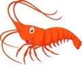 Cute cartoon shrimp