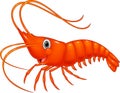 Cute cartoon shrimp Royalty Free Stock Photo