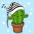 Cartoon Sleeping Cactus on a blue background