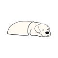 Cute cartoon sleeping dog illustration Royalty Free Stock Photo