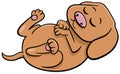 Cute cartoon sleeping puppy animal character