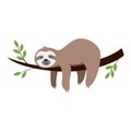 Cute cartoon sloth sleeping on a branch