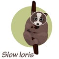 Cartoon slow loris on a tree vector illustration Royalty Free Stock Photo