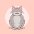 Cute smiling plump gray cat