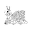 Cute cartoon snail with ornament. Design for coloring page