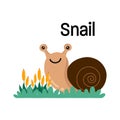 Cute cartoon snail vector illustration