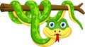 Cute cartoon snake on branch