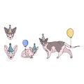 Cute cartoon sphynx cat party set vector clipart. Pedigree exotic breed for cat lovers. Purebred celebration for pet