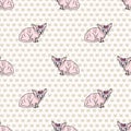 Cute cartoon sphynx kitten with pink bow seamless vector pattern. Pedigree exotic kitty breed domestic cat background