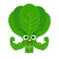 Funny spinach character