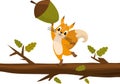 Cute cartoon squirrel Holding Acorn. Funny little brown squirrel collection. Emotion little animal. Cartoon animal character desig