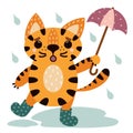 Cute cartoon striped tiger. Animal in rubber boots with an umbrella. Cat in the rain. Vector icon isolated on white. The predator Royalty Free Stock Photo