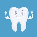 Cute cartoon strong tooth . Vector illustration isolated on whit Royalty Free Stock Photo