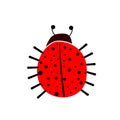 Cute cartoon style red lady bug. Vector illustration Royalty Free Stock Photo