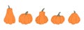 Cute cartoon style set of orange hand drawn pumpkins. Thanksgiving, Halloween, autumn, fall decoration.