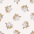 Cute cartoon tabby cat seamless vector pattern. Pedigree kitty breed domestic kitty background. Cat lover fluffy striped