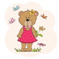 Cute Cartoon Teddy Bear Girl with flower and butterflies Royalty Free Stock Photo