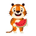 Cute cartoon tiger eating watermelon slice, vector illustration isolated on white background Royalty Free Stock Photo