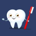 Cute cartoon Tooth with a toothbrush, smiling.