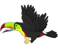 Cute cartoon toucan bird flying