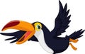 Cute cartoon toucan bird flying