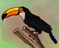 Cute cartoon toucan on the colorful background