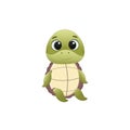 Cute cartoon turtle character.Turtle isolated on white background.Vector illustration for design and print Royalty Free Stock Photo