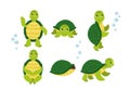 Cartoon smiling turtle Royalty Free Stock Photo