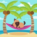 Cute cartoon vector cat in hammock.