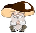 Cute cartoon vector fairytale oldman-mushroom