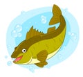 Cartoon cute walleye