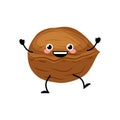 Cute cartoon walnut vector illustration isolated on white background. Kawaii walnut