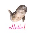 Cute cartoon watercolor dolphing says `hello