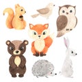 Cute cartoon watercolor forest animals set Royalty Free Stock Photo