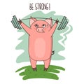 Cute cartoon weightlifter pig lifting the barbell.